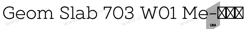 Geom Slab 703 W01 Me字体转换